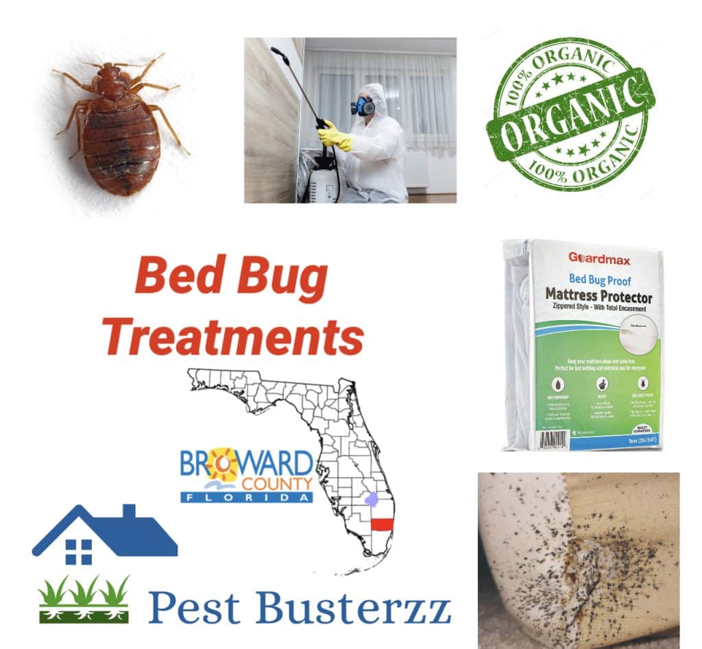 bed bug treatments by Pest Busterzz