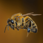 Bee Pollination: Significance and Insights