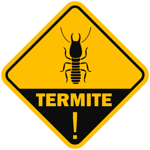 Early Signs of Termite Damage