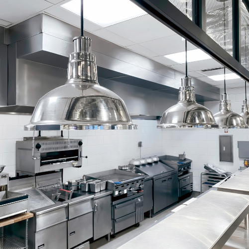 Pest Control in Commercial Kitchens