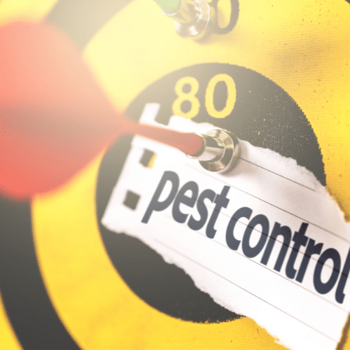 Residential vs Commercial Pest Control