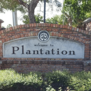 Pest-Free Plantation with Organic Solutions