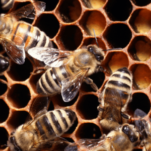 Bee Control Wilton Manors