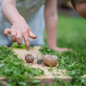 Hands-On Snail Removal Tips