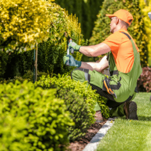 Landscaping for Mosquito Control
