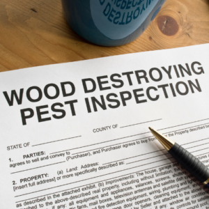 Long-Term Termite Protection