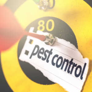 Pest Control Delray Beach