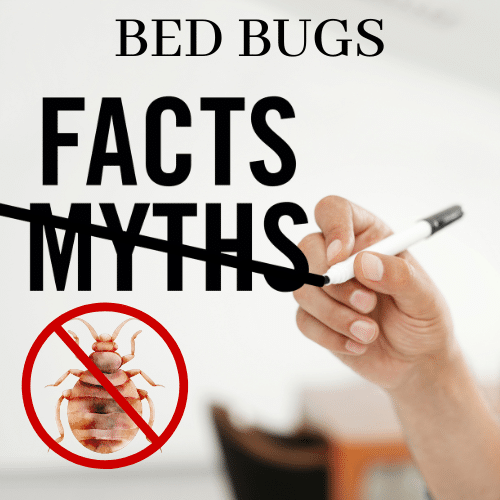 Truth About Bed Bug Solutions