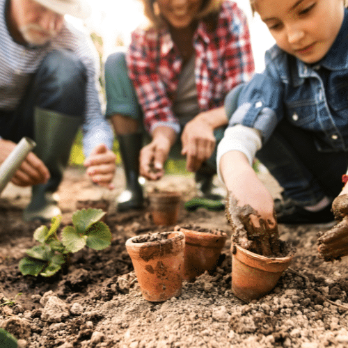 Grow a Pest-Free Flourishing Garden