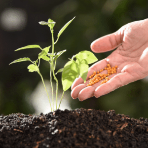 Healthy Soil, Healthy Garden