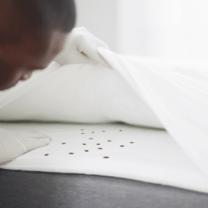 Heat Treatment for Bed Bugs