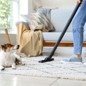 Prevent Pests with Cleanliness
