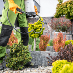 Pros and Cons of Chemical Pest Control