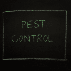 Specialized Pest Management