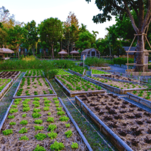 Sustainable Garden Defense