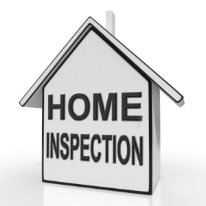 Termite Inspection and Assessment