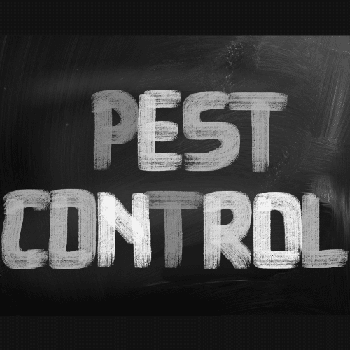 Why Pest Control Matters