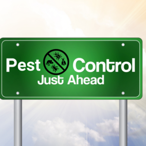 Controlling Coastal Pests