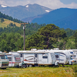 Essential RV Pest Prevention