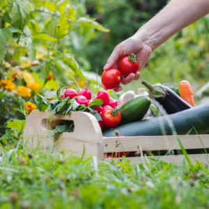 Healthy Garden Practices