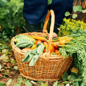 IPM Practices for Healthy Crops