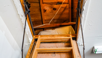 Keep Your Attic Pest-Free