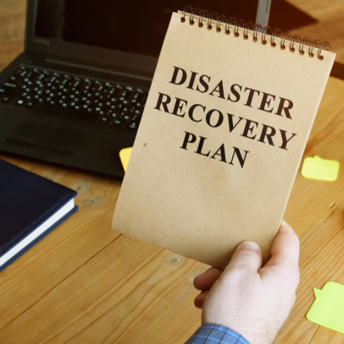 Pest Control in Disaster Recovery