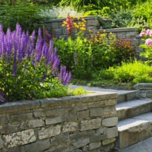 Pollinator-Friendly Landscaping