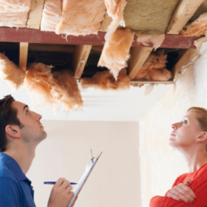 Pre-Remodeling Pest Inspection