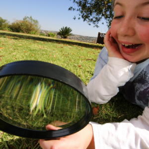 Recognizing Broward County Pests