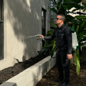 Tackling Outdoor Pests