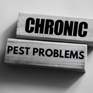 Chronic Pest Problems