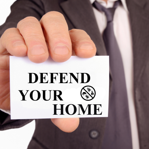 Defending Against Property-Damaging Pests