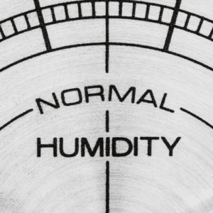 Humidity's Hidden Pests