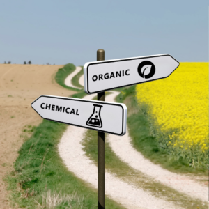 Organic vs. Chemical Pest Solutions