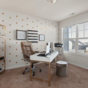 Creating a Pest-Free Home Office