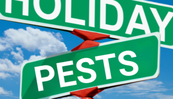 Hidden Pests During the Holidays