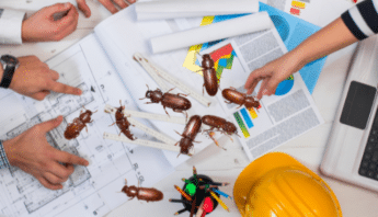 Managing Pests Through Construction