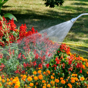 Pest-Proof Your Landscape