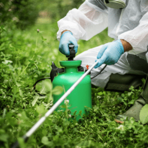 Safe, Green Ways to Control Pests