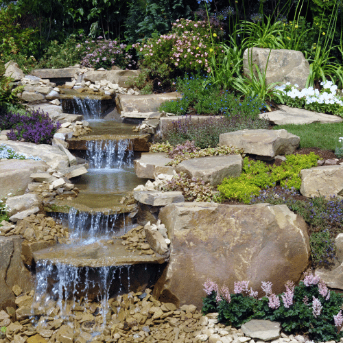 Control Pests Near Water Features