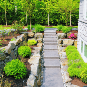 Create a Predator-Friendly Yard