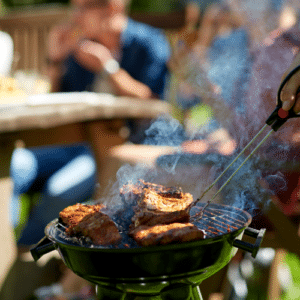 Defend Your BBQ from Pests