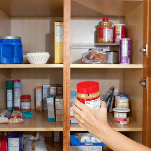 Keep Bugs Out of Pantries