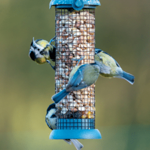 Keep Feeders Tidy