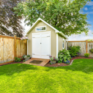 Maintain a Pest-Free Shed