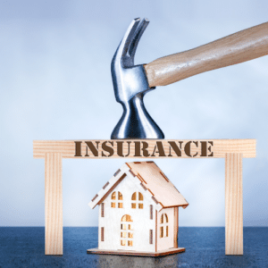 Pest Impact on Home Insurance