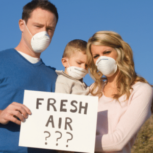 Pests and Indoor Air Quality Risks