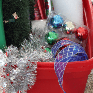 Pests in Stored Decorations