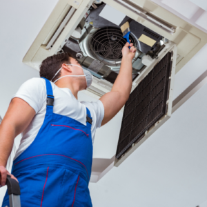 Protect AC Units from Pests